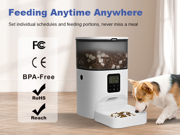 Automatic cat feeder
