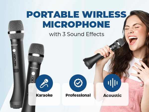 bluetooth microphone karaoke