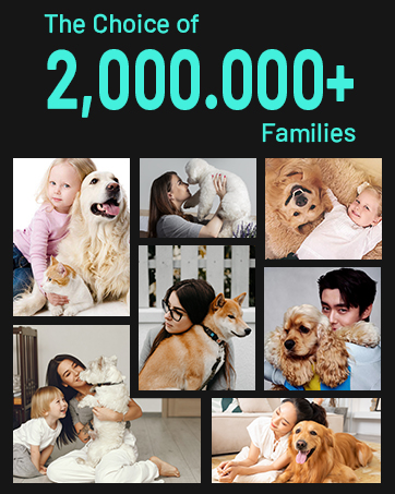 dog grooming blow dryer secadora para perros blower cattle blower