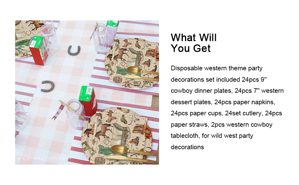 Western Party Decorations