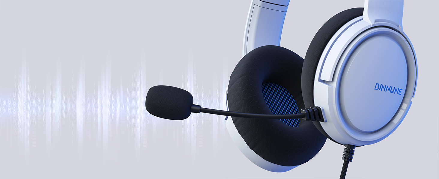 mic