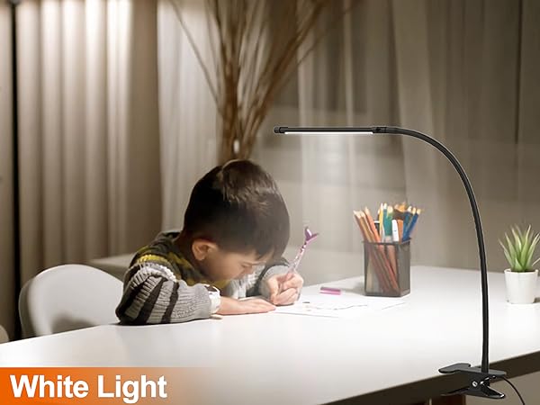 Desk Lamps for Office Home