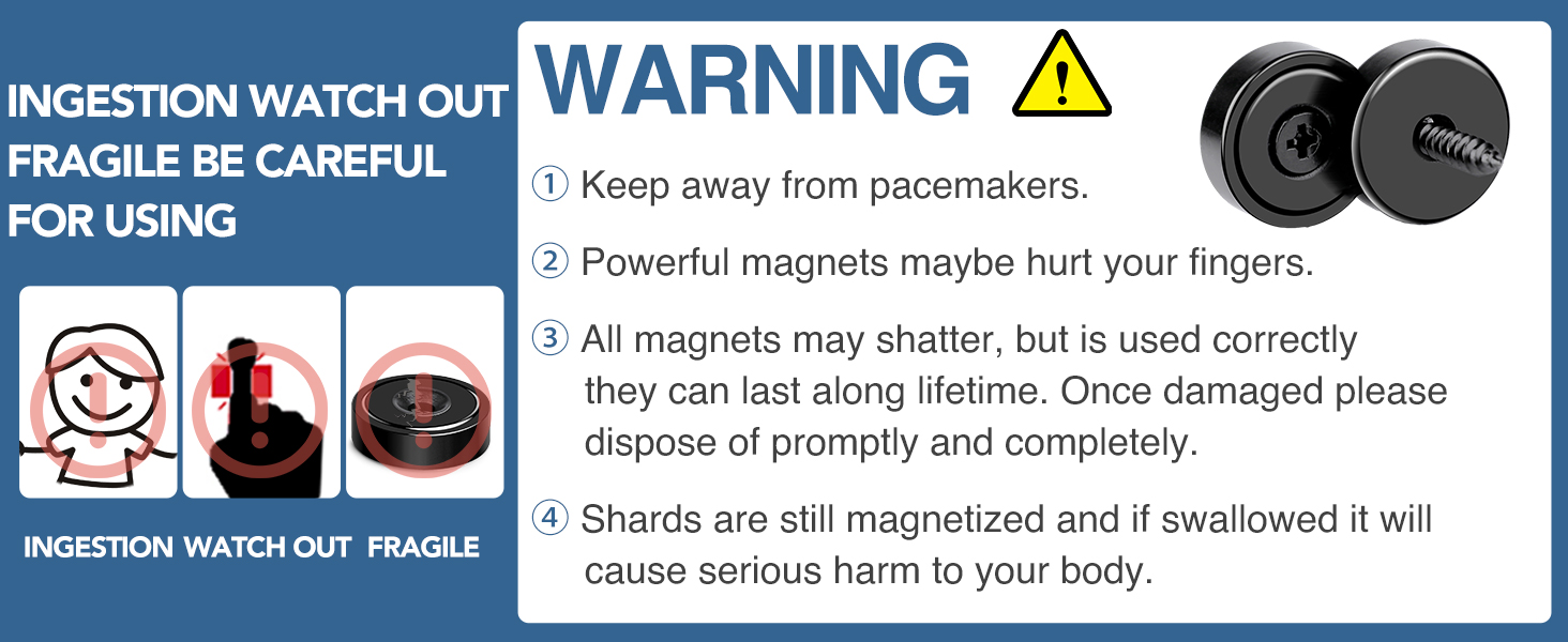 Rare Earth Magnet