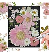 CONVELIFE Pink Dried Pressed Flowers, Real Nature Flowers with Tweezers, Pressed Flowers for Resi...