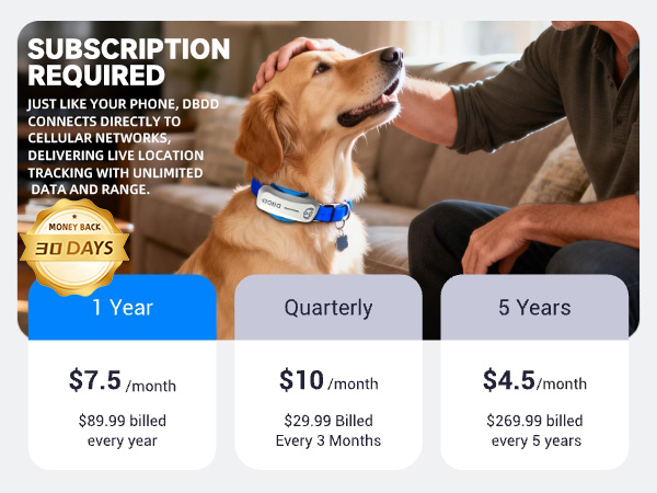 Subscription Plan