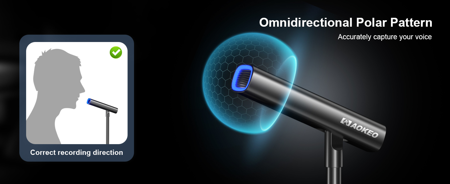 recording microphone