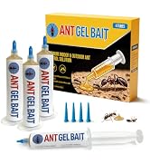 4 x 30 Grams Ant Gel Bait Syringe, 1 Plunger &amp; 4 Tips, Extra Strong Ant Bait Gel for Home Kitchen...