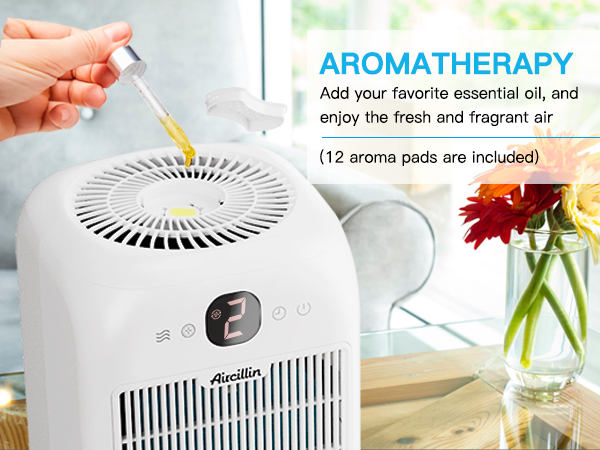  Air Purifier for Home large room