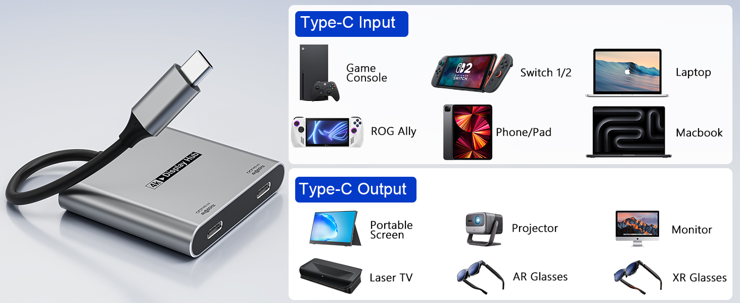 switch dock