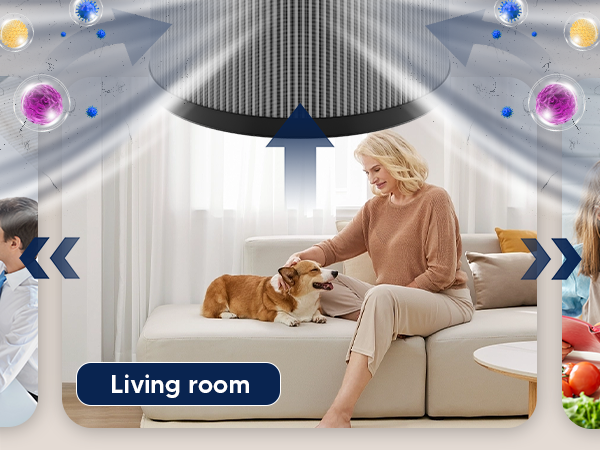 aroeve air purifier filter replacement