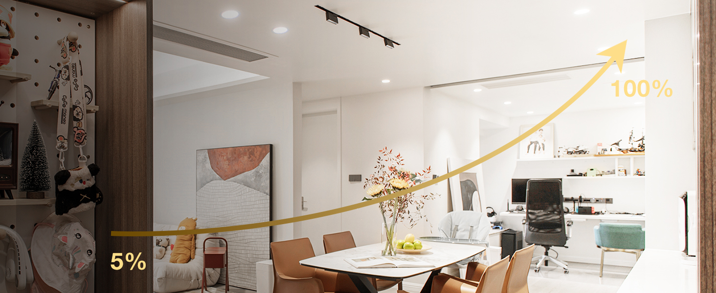 canned lights ceiling