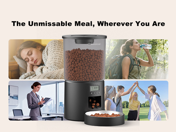 timed cat food dispenser