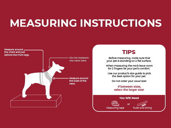 measurements for harness