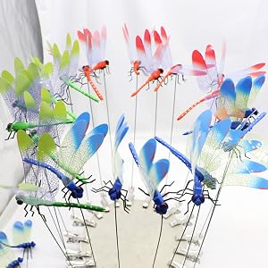 Dragonfly Clips