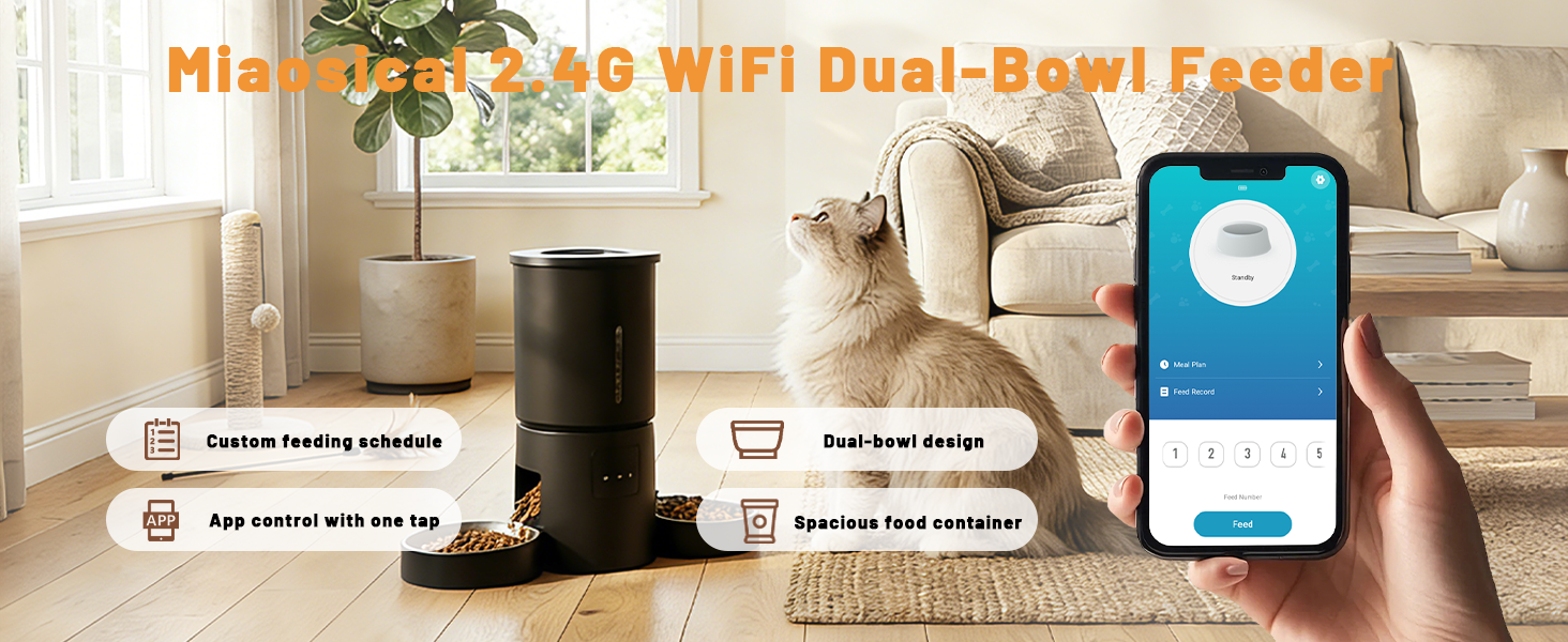 auto feeder cat food