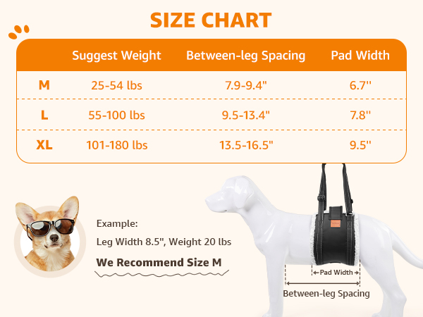 pet sling