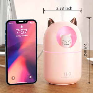 humidifier