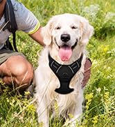 dog harness no pull gentle leader dog harness front clip no pull dog vest harnesses dog harnes