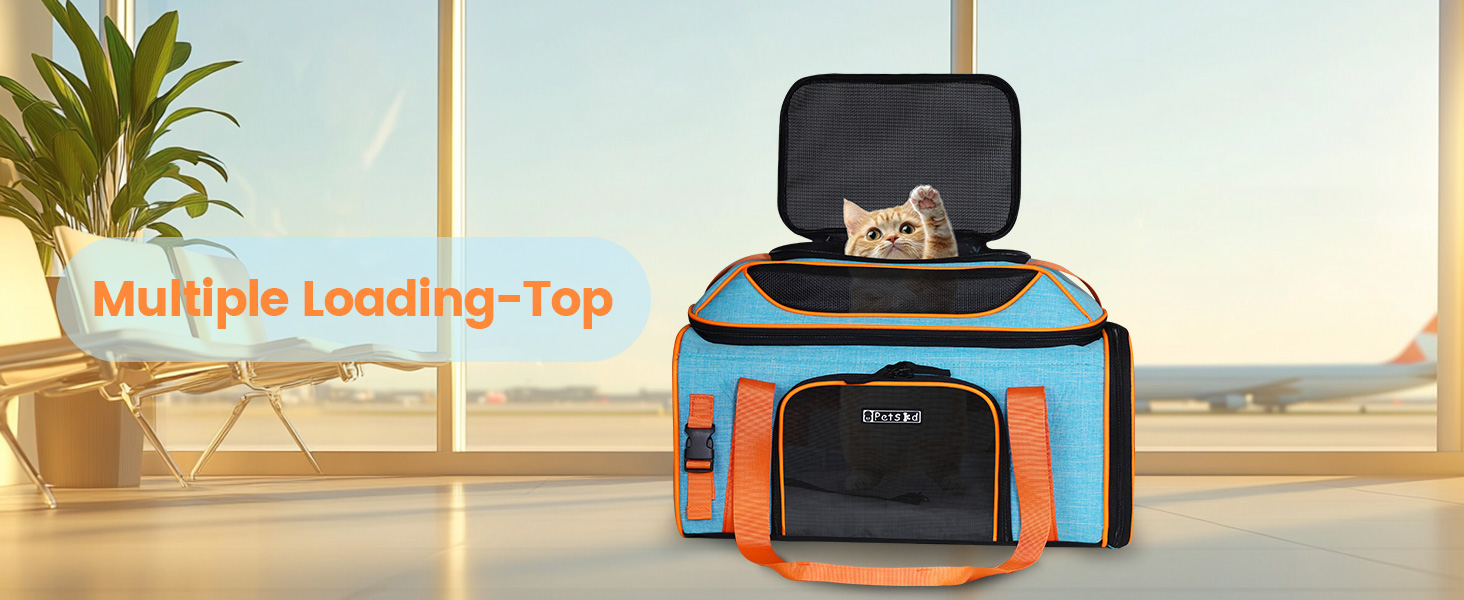 Multiple Loading-Top