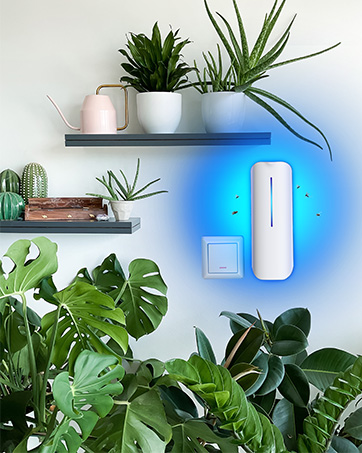fly trap device