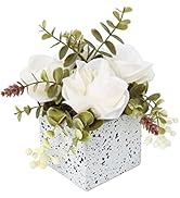 Jusdreen Artificial Flower Potted Plant,Artificial Flower Peony and Small Ceramic Vase Fake Plant...