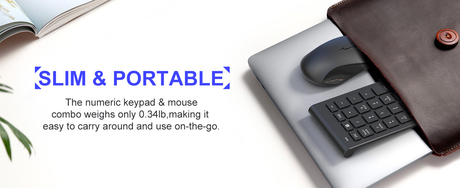 mouse with number pad