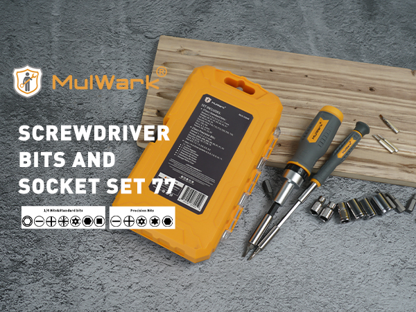 ratchet screwdriver set with bits
