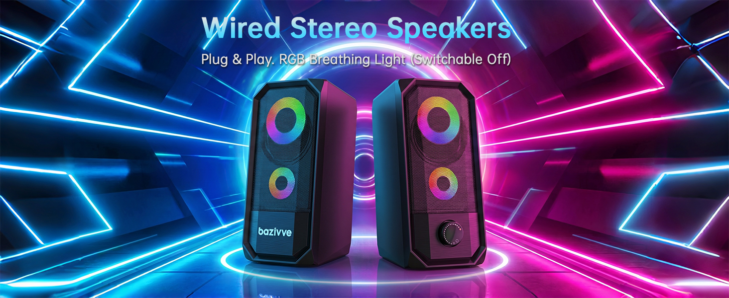 computer speaker
