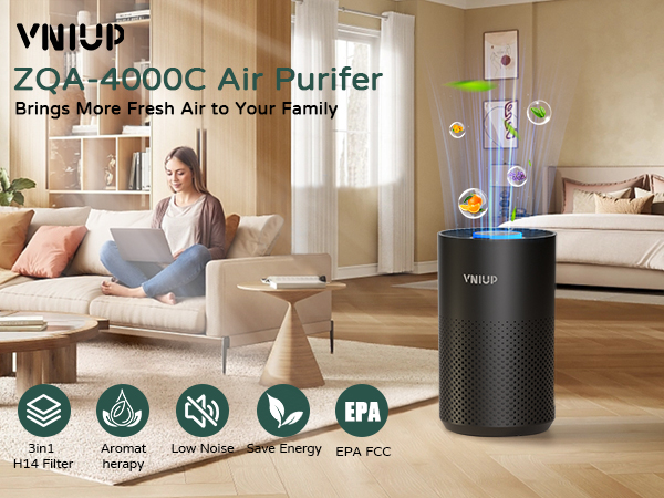 air cleaners for home