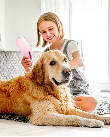 Ionic Blow Dryer Ionic Blow Dryer Ionic Blow Dryer Ionic Blow Dryer Ionic Blow Dryer Blow Dryer