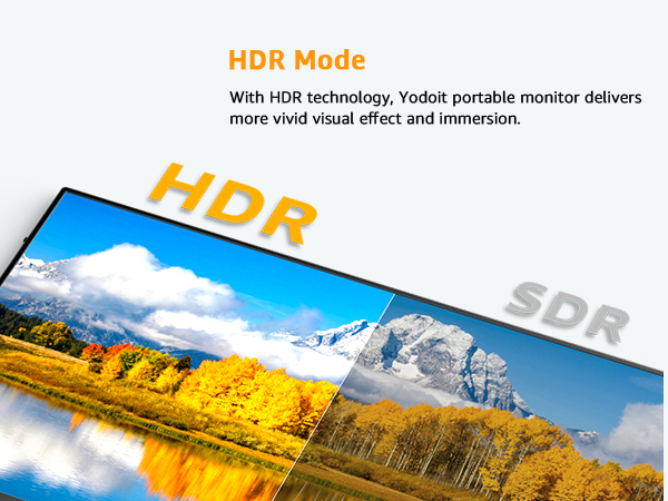 portable monitor