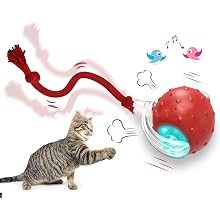 Cat Toy Ball