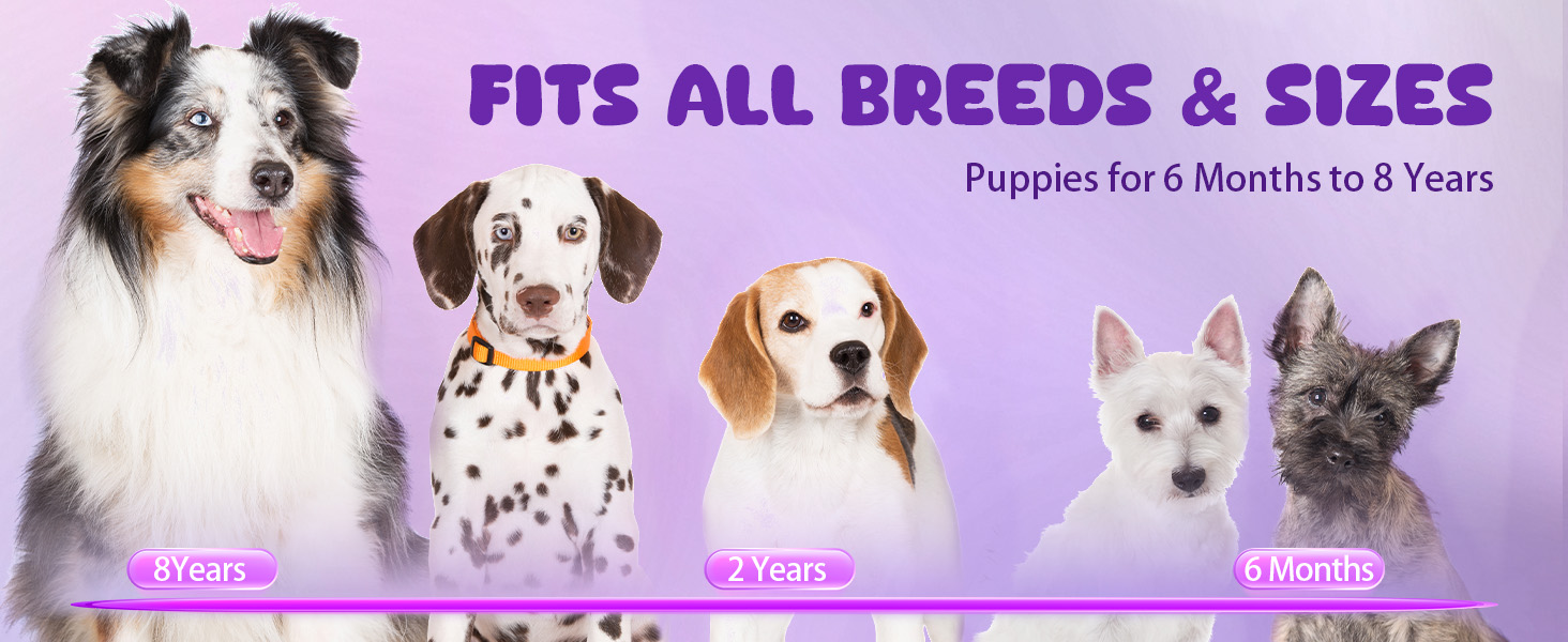 no barking device for dogs