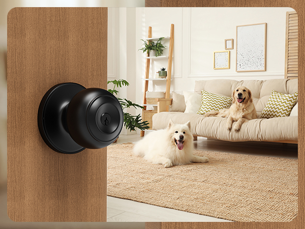 door knob for front door