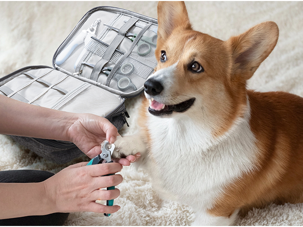 electronics organizer large