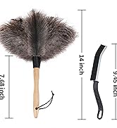 feather duster for cleaning