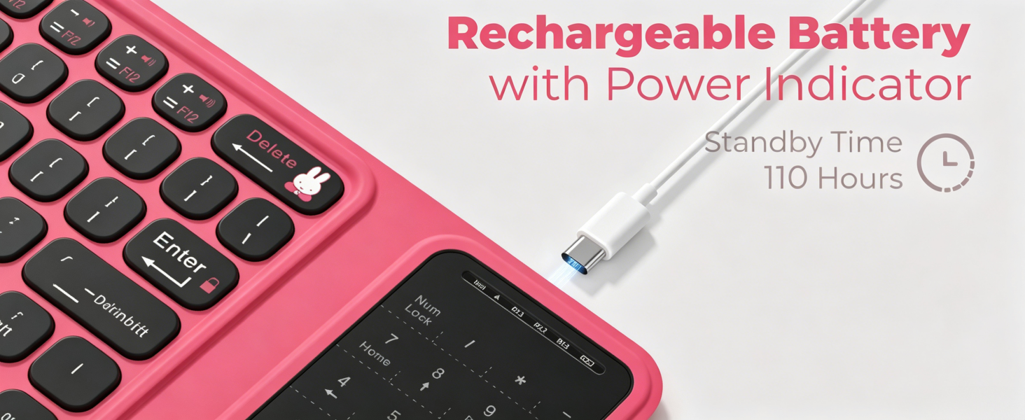 Rechargeable Battery with Power Indicator