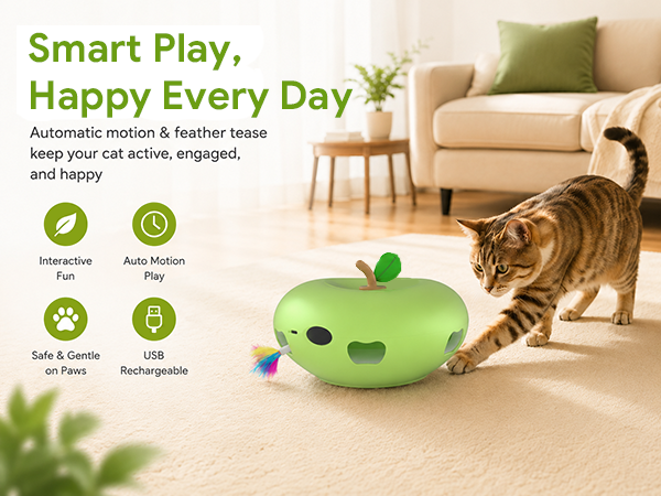 cat toys