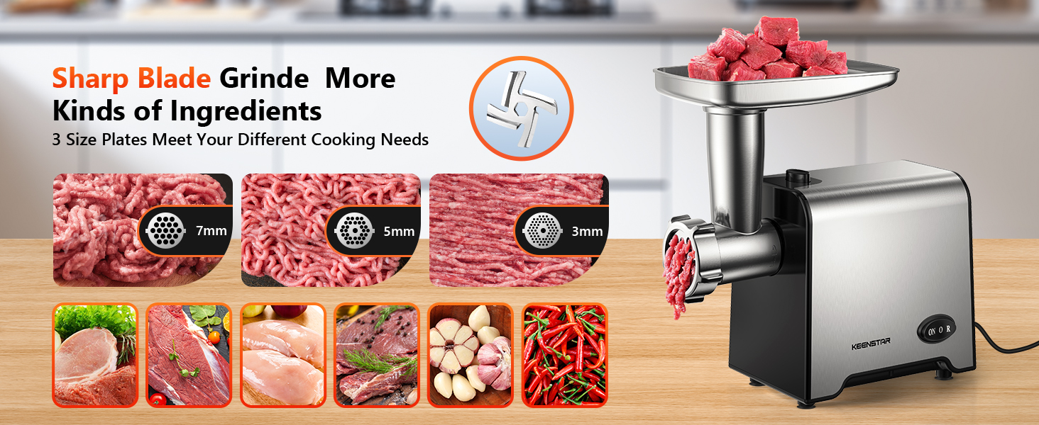 Electric Meat Grinder with Sausage Stuffer Maker &amp;amp; Kubbe Kit Food Grinder with Blade &amp;amp; 3 Plates