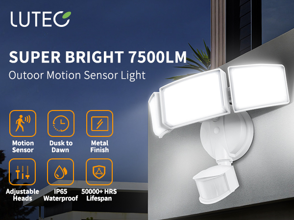 Outdoor Motion Sensor Light