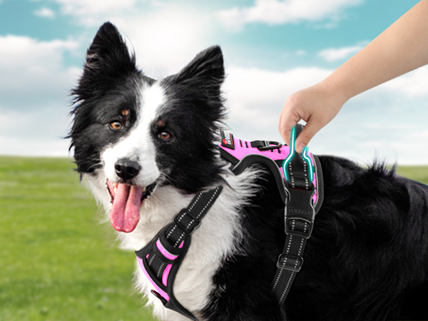 harness ruffwear harness dog harness medium harness for small dogs harness dog