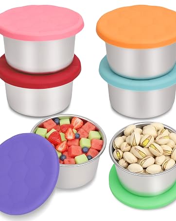 Stainless Steel Snack Containers for Kids