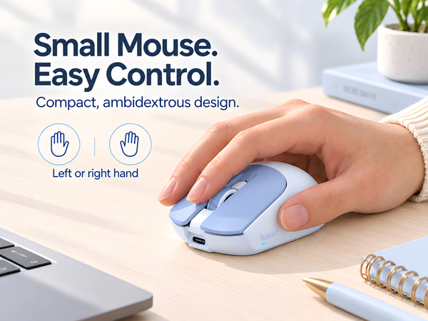 Small Mouse