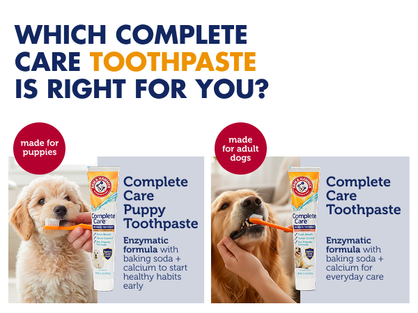 Which complete care toothpaste is right for you?