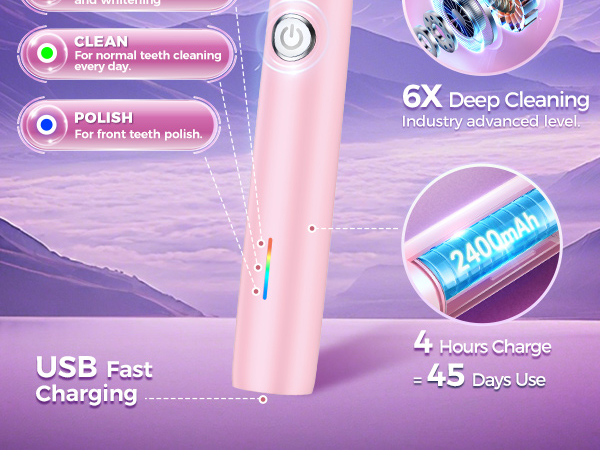 Rotating Electric Toothbrush