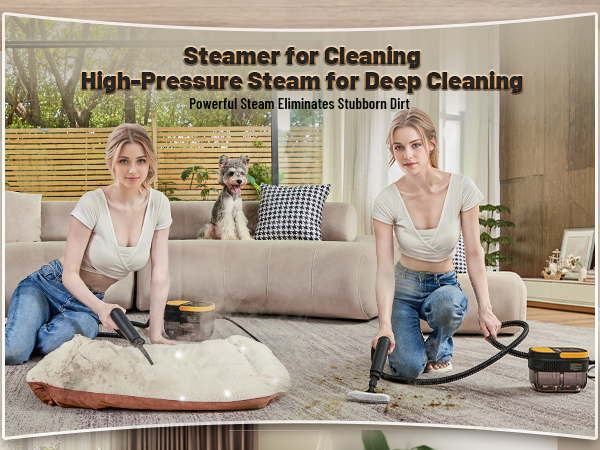 steam cleaner, steamer for cleaning, handheld steam cleaner, steam cleaner for home, steam cleaner
