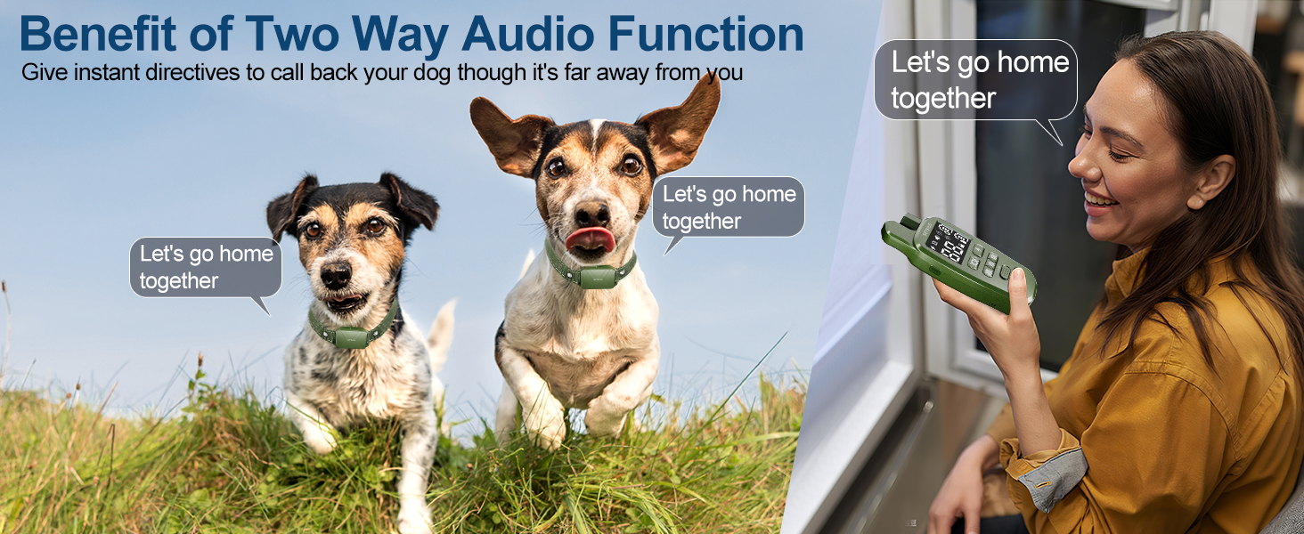 dog training collar
