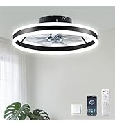 Ceiling Fans with Lights and Remote, 20” Low Profile Ceiling Fan, 2700-6500K Color Temperature, 6...
