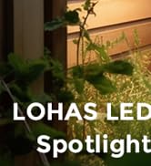 LOHAS Landscape LED Lighting Outdoor, Spotlights for Yard ???????? ???? ???????? ?????????? ?????...