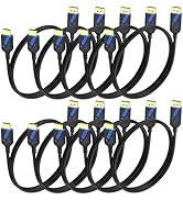 RyzzRooa 4K DisplayPort to HDMI Cable 6FT, 10-Pack DP (Display Port) to HDMI Cable Adapter Male t...
